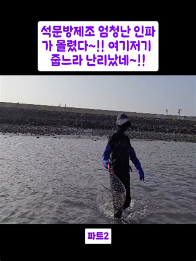 석문방제조 엄청난 인파가 몰렸다~!! 여기저기 줍느라 난리났네~!!파트2#해루가자 #hearugaja #해루질 #낙지 #viral #foryoupage❤️❤️ #fyp