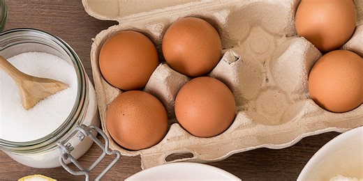 How we test food processors