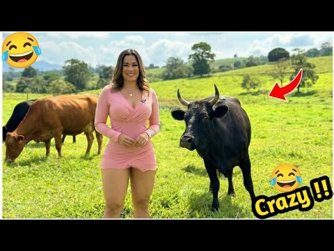 Crazy Funniest Videos Ever In The World! (eps 274) | Try Not To Laugh Challenge