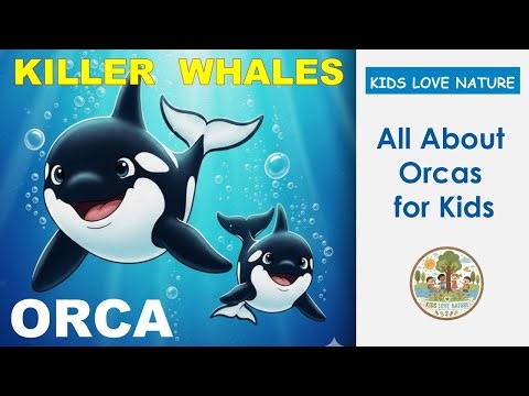 All About Orcas for Kids! 🌊 | The Killer Whale Story | Facts & Learning for Toddlers & Kindergarten