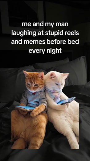 hehehehehhehee love it #reels #meme #fyp #memes #laugh