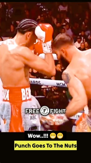 Punch Goes To The Nuts #mma #ufc #boxing