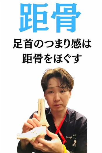 足のつまり解消🦶たった30秒で足首が軽くなる❗️距骨リセットストレッチ🙆‍♀️ 距骨は、体全体を支える重要な関節です✨ ここを優しくストレッチするだけで驚くほど動きもスムーズに！血流もUPします🎵 #距骨 #足首 #足痩せ #むくみ #ストレッチ