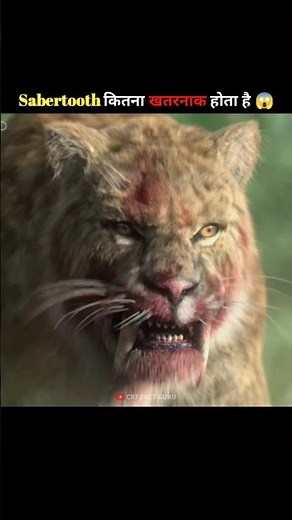 What if sabertooth was still alive ||😱 || Some evidence of sabertooth being alive #viral​