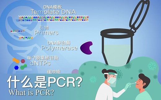 什么是PCR？| PCR包括那些步骤 | PCR的原理与应用