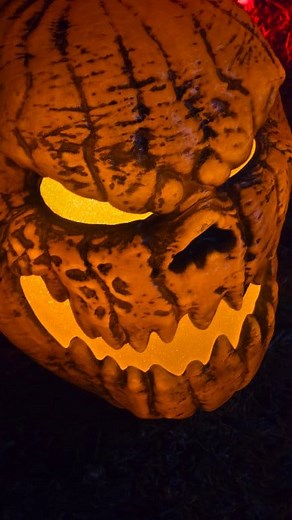 21 reactions · 8 comments | As I get older, it gets a little more exhausting setting up and taking down animatronics and decor. But the crowds came by took pictures and loved the setup. That's very rewarding. But this one in the books. Until next year I do it again! #halloween2025 #spookyseason #halloweendecor #halloweenfun #animatronics | Shawn Daniel | Facebook