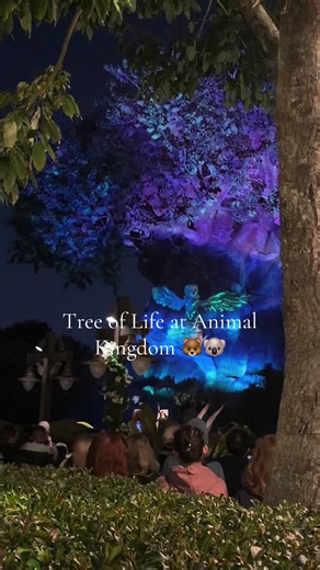 Animal Kingdom Tree of Life 🦒🦓
