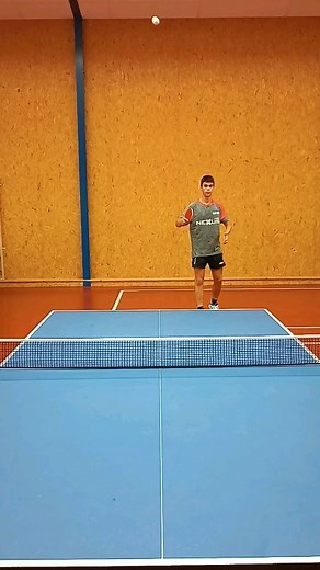Trickshotlife TE on Instagram: "Les coups inhabituels au tennis de table🤯 - #pingpong #tabletennis #tennisdetable - @gewofrance @gewotabletennis"