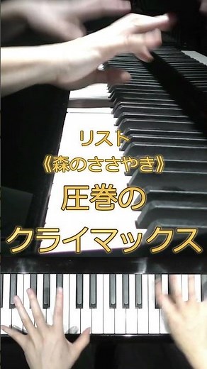 リスト《森のささやき》圧巻の超絶技巧｜Liszt – Forest Murmurs #Shorts