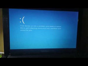 horrid Henry has bsod