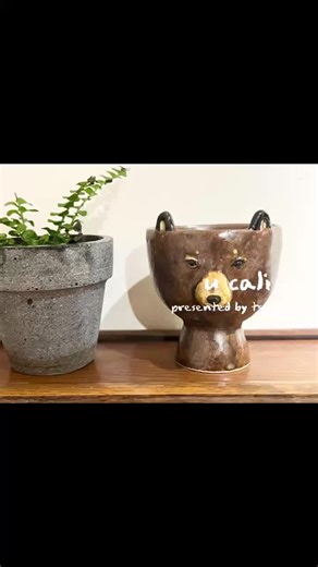 クマの種類と特徴を紹介！可愛い魅力に迫る