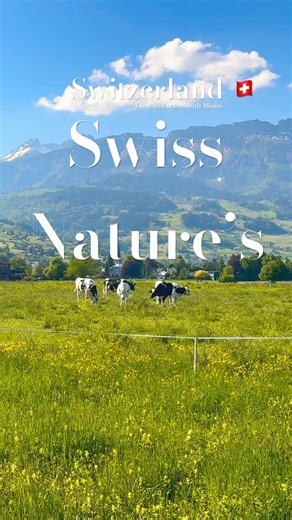 Switzerland Nature’s Bliss 🇨🇭♥️ #travel #sceniclandscapes #mountains #viralshorts