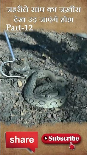 coral snake hideout p12