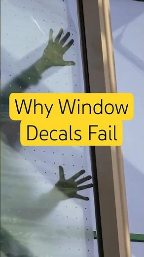How to STOP Birds From Hitting Your Windows! 🛑🐦