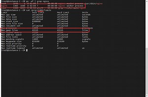 [廚餘回收] 調整 Nginx 的最大連線數遇到 setrlimit(RLIMIT_NOFILE, 65535) failed (1: Operation not permitted) 錯誤訊息 | 軟體主廚的程式料理廚房 - 點部落