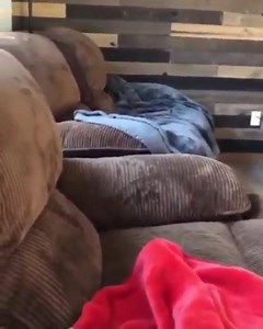 A slight miscalculation. | Banana Scale