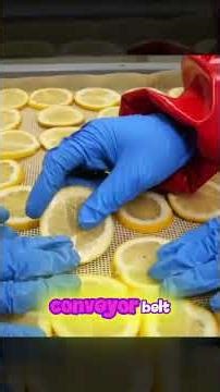 This Korean Lemon Powder Factory Is Unreal 🍋