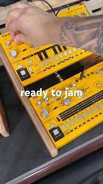 How to Program a TB-303 for 303 Day 🔥 Acid Bassline Tutorial #303 #acidulantes