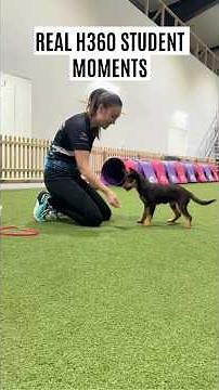 Real Handling360 Student Moments