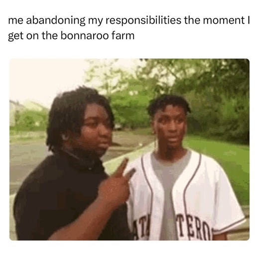 8.9K views · 115 reactions | tix start at $25 down ⛺️ bonnaroo.com | Bonnaroo Music and Arts Festival | Facebook