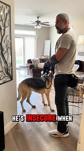 In my experience and in most cases, aggressive dog are actually very insecure. The “aggression” is used as a way to make others go away or is used as a catalyst for an expected outcome —being removed from the situation. Don’t get it twisted though. They can and will still bite 💯 Dogs are smart. They tend to do what works for them. Insecure dogs can easily turn into bullies too. I mean, that’s literally the root of all bully behavior, including human bullying. When can create boundaries & limita