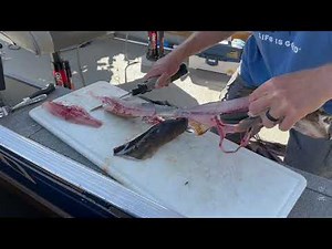 How to clean a walleye with an electric fillet knife. Plus, how to zipper out the bones.