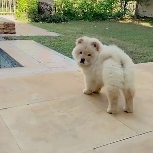 18K views · 2.3K reactions | Just. Can’t. Monday. | Jessica Chastain | Facebook