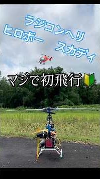 RC Helicopter, first flight after engine repair, HIROBO, SDX #RChelicopter #helicopter #HIROBO #S...