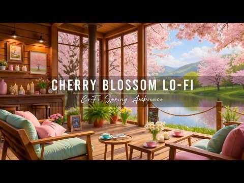 🌸 Cherry Blossom Lo-Fi Spring Ambience | Soft Violin & Piano for Study, Relax & Sleep 