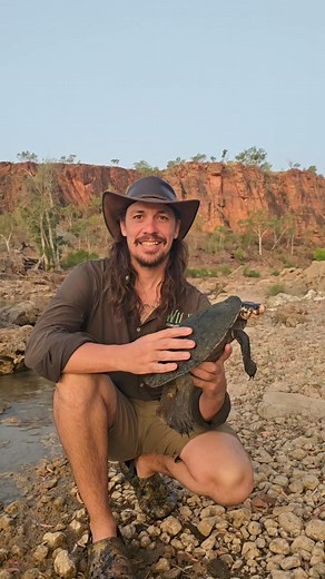 The Gulf Snapping Turtle! An absolute dream come true to work with this species in remote northern Australia. #WILD #Conservation #Australia #Turtle #iliketurtles #fossil #nature #animal #wildlife #ecologist #wildlifeplanet | Wild Conservation