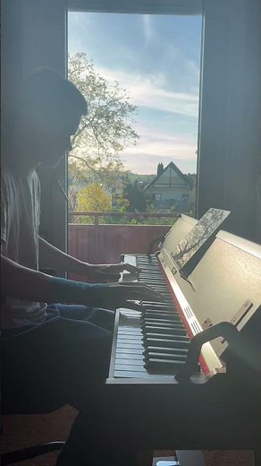 Donner DDP-80 PLUS Digital Piano Review By @peterwilleke1 | Someone like you - Adele