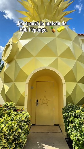 Découvrez la plus belle chambre d’hôtel à Punta Cana