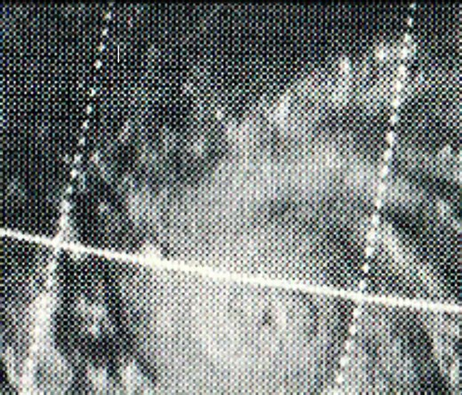 Super Typhoon Patsy (Yoling) 1970 Animation