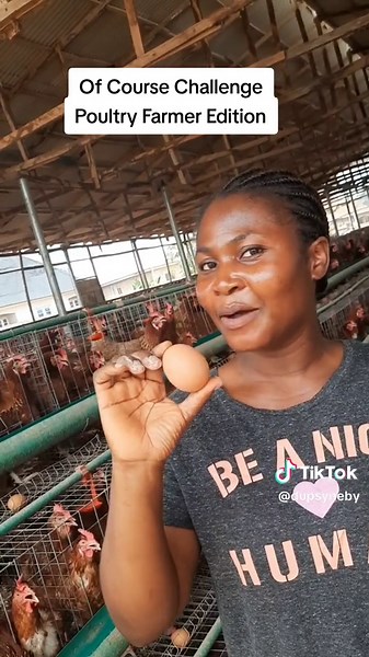 Layers Poultry Farmer Biosecurity Practices | Of Course Challenge