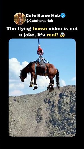 The Flying Horse Is Real! 🚀