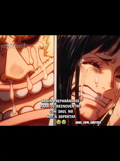 Verlo animado me va a hacer llorar 🥺 #onepiece #onepieceedit #anime #robin #parati