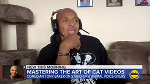 Mastering the art of cat videos