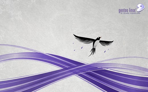 Gentoo Linux 安装注释 (1)