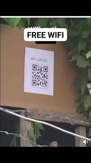 Scan to connect 🤣 #TrendingNow2024 #viralshortsreels #reelstrending #reels #viral #trending #highlights #fbreelsfypシ゚ #viralvideochallenge #viralfacebookreels #fbreelsvideo #fbpost2024fbreels | Gene Rous