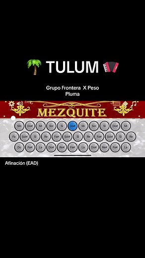 Acordeón Mezquite en Tulum: Música y Cultura