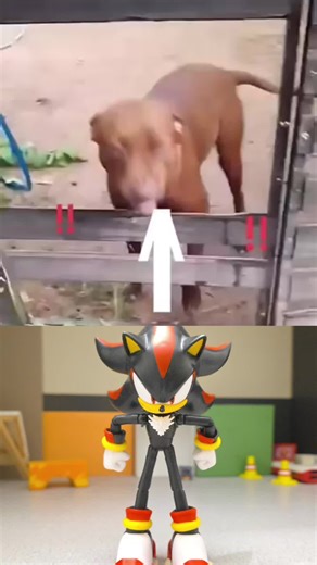 Sonic Animation Memes Featuring ts dog pmo and Alberts Tails