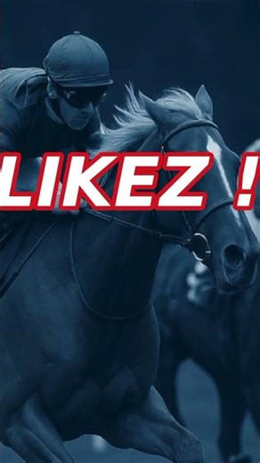 PROGRAMME TOM KAZAK LES PRONOSTICS HIPPIQUES #pmu #quinté #tomkazak #pronostic #zeturf