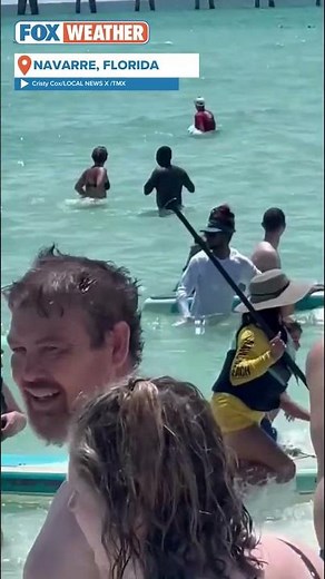 'Get Out Of The Water': Shark Swims Dangerously Close To Swimmers At Florida Beach