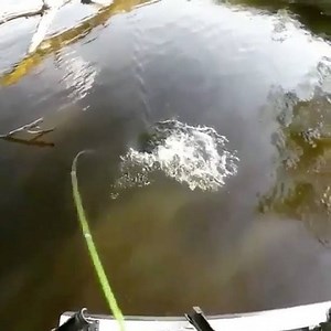 1K views · 34 reactions | RIGHT NEXT TO THE BOAT!!! ✅ @backwaterlunkers ♻️@bassdynasty @bucksbassfishing @billblade21 | Roundabout Watercrafts | Facebook