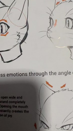 Cómo dibujar un gato furry - Tutorial paso a paso