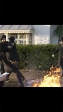 They’ve burnt everything