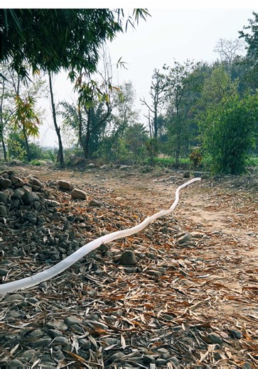 Innovative Technology for Irrigation During Dry Season