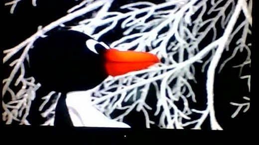 Baby Einstein - Baby Santa's Music Box (2000 VHS)