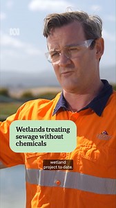 7.8K views · 110 reactions | Tasmania's State Water Utility is trialling the use of "floating wetlands" at some of its sewage treatment plants. It's a Tasmanian-first experiment which aims to reduce the impact of wastewater contaminant on the environment. : Ashleigh Barraclough via ABC News Tasmania Choose your news on the ABC NEWS app and stay in the know: https://ab.co/abcnewsapp | ABC Northern Tasmania | Facebook