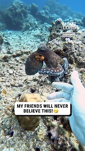 I wonder what they feel like? 👀 | Meme Lord